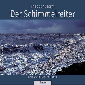 Buchcover Der Schimmelreiter | Theodor Storm | EAN 9783898761444 | ISBN 3-89876-144-4 | ISBN 978-3-89876-144-4