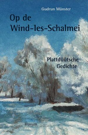 Buchcover Up de Wind-Ies-Schalmei | Gudrun Münster | EAN 9783898763066 | ISBN 3-89876-306-4 | ISBN 978-3-89876-306-6