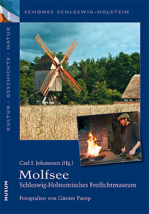 Buchcover Molfsee  | EAN 9783898765534 | ISBN 3-89876-553-9 | ISBN 978-3-89876-553-4