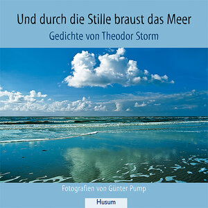 Buchcover Und durch die Stille braust das Meer | Theodor Storm | EAN 9783898765572 | ISBN 3-89876-557-1 | ISBN 978-3-89876-557-2