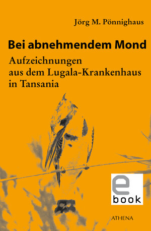 Buchcover Bei abnehmendem Mond | Jörg M. Pönnighaus | EAN 9783898967624 | ISBN 3-89896-762-X | ISBN 978-3-89896-762-4