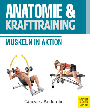 Buchcover Anatomie und Krafttraining (Anatomie & Sport, Band 1) | Ricardo Cánovas | EAN 9783898999861 | ISBN 3-89899-986-6 | ISBN 978-3-89899-986-1