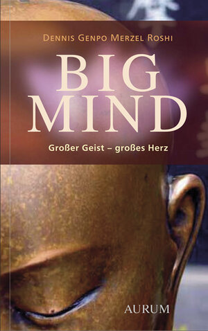 Buchcover BIG MIND | Dennis G Merzel | EAN 9783899011395 | ISBN 3-89901-139-2 | ISBN 978-3-89901-139-5