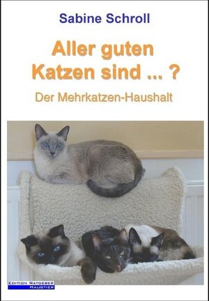 Aller guten Katzen sind...? Der Mehrkatzen-Haushalt