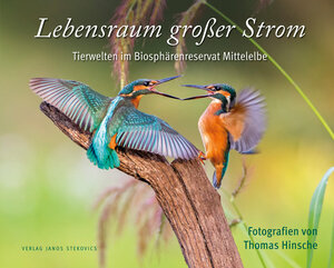 Buchcover Lebensraum großer Strom | Ernst Paul Dörfler | EAN 9783899233537 | ISBN 3-89923-353-0 | ISBN 978-3-89923-353-7
