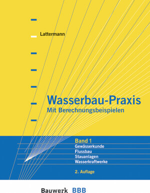 Wasserbau-Praxis 1: Gewässerkunde, Flußbau, Stauanlagen, Wasserkraftwerke