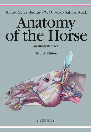 Buchcover Anatomy of the Horse | Klaus D Budras | EAN 9783899930030 | ISBN 3-89993-003-7 | ISBN 978-3-89993-003-0