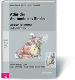 Buchcover Atlas der Anatomie des Rindes | Klaus D Budras | EAN 9783899930245 | ISBN 3-89993-024-X | ISBN 978-3-89993-024-5