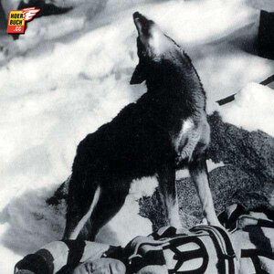 Buchcover Wolfsblut | Jack London | EAN 9783900037765 | ISBN 3-900037-76-0 | ISBN 978-3-900037-76-5