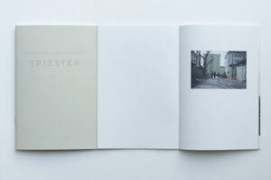 Buchcover Martin Behr, Martin Osterider: Triester 1  | EAN 9783900508982 | ISBN 3-900508-98-4 | ISBN 978-3-900508-98-2
