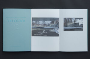 Buchcover Martin Behr, Martin Osterider: Triester 2  | EAN 9783900508999 | ISBN 3-900508-99-2 | ISBN 978-3-900508-99-9