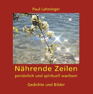 Buchcover Affirmationskärtchen | Paul Lahninger | EAN 9783902488961 | ISBN 3-902488-96-4 | ISBN 978-3-902488-96-1