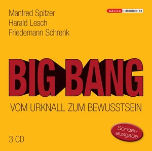 Buchcover Big Bang: Vom Urknall zum Bewusstsein | Manfred Spitzer | EAN 9783902533289 | ISBN 3-902533-28-5 | ISBN 978-3-902533-28-9