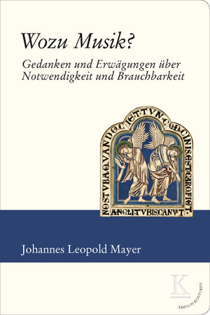 Buchcover Wozu Musik? | Johannes Leopold Mayer | EAN 9783902968043 | ISBN 3-902968-04-4 | ISBN 978-3-902968-04-3