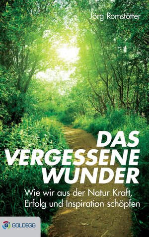 Buchcover Das vergessene Wunder | Jörg Romstötter | EAN 9783902991614 | ISBN 3-902991-61-5 | ISBN 978-3-902991-61-4