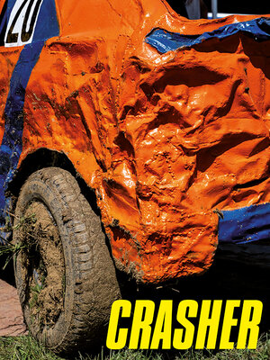 Buchcover CRASHER | Josef Perndl | EAN 9783902993878 | ISBN 3-902993-87-1 | ISBN 978-3-902993-87-8