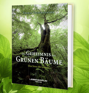 Buchcover Das Geheimnis der grünen Bäume | Thomas Tschernitschek | EAN 9783903034112 | ISBN 3-903034-11-8 | ISBN 978-3-903034-11-2