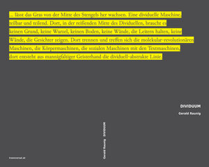 Buchcover Maschinischer Kapitalismus und molekulare Revolution | Gerald Raunig | EAN 9783903046283 | ISBN 3-903046-28-0 | ISBN 978-3-903046-28-3