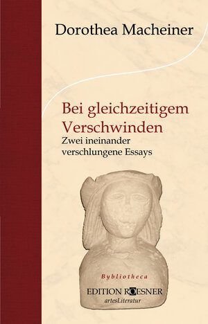 Buchcover Bei gleichzeitigem Verschwinden | Dorothea Macheiner | EAN 9783903059153 | ISBN 3-903059-15-3 | ISBN 978-3-903059-15-3