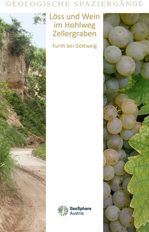 Buchcover Löss und Wein im Hohlweg Zellergraben | Monika Brüggemann-Ledolter | EAN 9783903252134 | ISBN 3-903252-13-1 | ISBN 978-3-903252-13-4