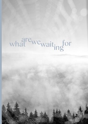 Buchcover WHAT ARE WE WAITING FOR | Gerhard Maurer | EAN 9783903334304 | ISBN 3-903334-30-8 | ISBN 978-3-903334-30-4