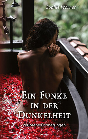 Buchcover Ein Funke in der Dunkelheit | Sophie Wörner | EAN 9783903382879 | ISBN 3-903382-87-6 | ISBN 978-3-903382-87-9