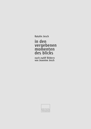 Buchcover in den vergebenen momenten des blicks | Katalin Jesch | EAN 9783904068178 | ISBN 3-904068-17-2 | ISBN 978-3-904068-17-8