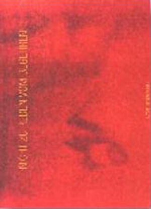 Buchcover Nicht zu reden vom Begehren | Li Mollet | EAN 9783905110135 | ISBN 3-905110-13-X | ISBN 978-3-905110-13-5