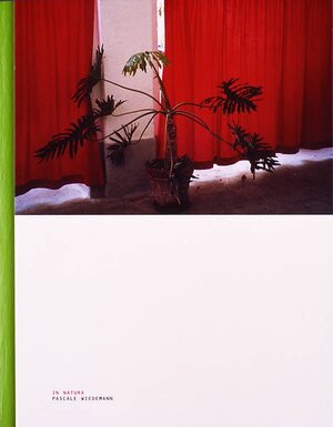 Buchcover In Natura | Ursula Pia Jauch | EAN 9783905240382 | ISBN 3-905240-38-6 | ISBN 978-3-905240-38-2