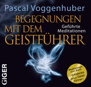 Buchcover Begegnung mit dem Geistführer | Pascal Voggenhuber | EAN 9783905958034 | ISBN 3-905958-03-1 | ISBN 978-3-905958-03-4