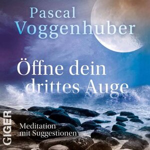 Buchcover Öffne Dein Drittes Auge | Pascal Voggenhuber | EAN 9783905958393 | ISBN 3-905958-39-2 | ISBN 978-3-905958-39-3
