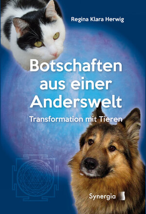 Buchcover Botschaften aus einer Anderswelt | Regina Klara Herwig | EAN 9783906873503 | ISBN 3-906873-50-1 | ISBN 978-3-906873-50-3