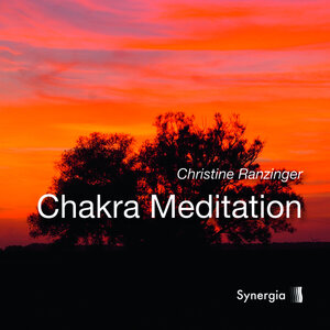 Buchcover Chakra Meditation | Christine Ranzinger | EAN 9783906873794 | ISBN 3-906873-79-X | ISBN 978-3-906873-79-4