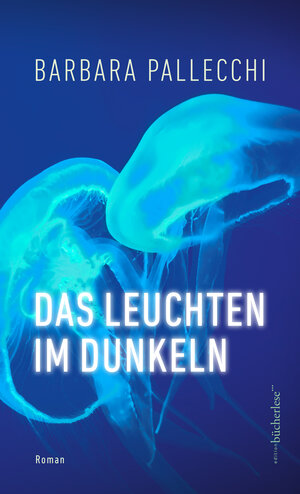 Buchcover Das Leuchten im Dunkeln | Barbara Pallecchi | EAN 9783906907802 | ISBN 3-906907-80-5 | ISBN 978-3-906907-80-2