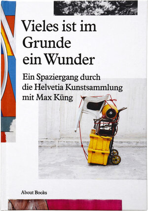 Buchcover Vieles ist im Grunde ein Wunder | Max Küng | EAN 9783906946252 | ISBN 3-906946-25-8 | ISBN 978-3-906946-25-2