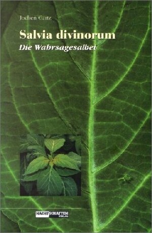 Salvia Divinorum - Der Wahrsagesalbei