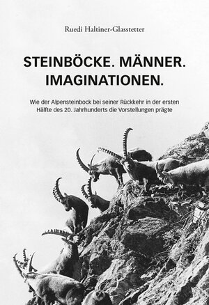 Buchcover Steinböcke. Männer. Imaginationen. | Ruedi Haltiner-Glasstetter | EAN 9783907095225 | ISBN 3-907095-22-7 | ISBN 978-3-907095-22-5