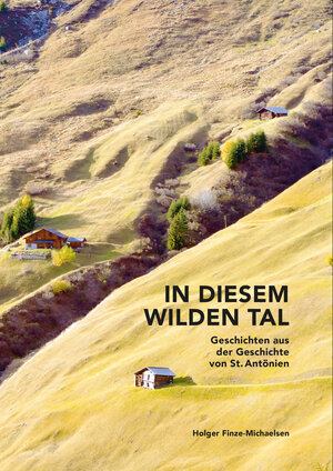 Buchcover In diesem wilden Tal | Holger Finze-Michaelsen | EAN 9783907095577 | ISBN 3-907095-57-X | ISBN 978-3-907095-57-7