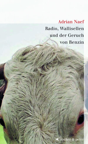 Buchcover Radio, Wallisellen und der Duft von Benzin | Adrian Naef | EAN 9783907159354 | ISBN 3-907159-35-7 | ISBN 978-3-907159-35-4