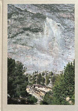 Buchcover Moosfluh | Sabine Tholen | EAN 9783907205495 | ISBN 3-907205-49-9 | ISBN 978-3-907205-49-5