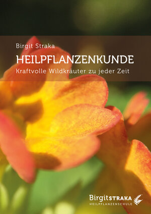 Buchcover Heilpflanzenkunde | Birgit Straka | EAN 9783907246641 | ISBN 3-907246-64-0 | ISBN 978-3-907246-64-1