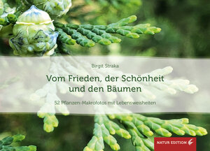Buchcover Vom Frieden, der Schönheit und den Bäumen (Tischaufsteller) | Birgit Straka | EAN 9783907246696 | ISBN 3-907246-69-1 | ISBN 978-3-907246-69-6