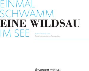 Buchcover Einmal schwamm eine Wildsau im See | Ruth Erat | EAN 9783907296127 | ISBN 3-907296-12-5 | ISBN 978-3-907296-12-7