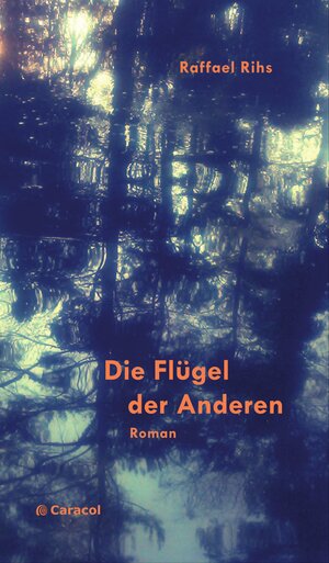 Buchcover Die Flügel der Anderen | Raffael Rihs | EAN 9783907296240 | ISBN 3-907296-24-9 | ISBN 978-3-907296-24-0