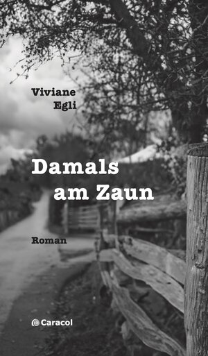 Buchcover Damals am Zaun | Viviane Egli | EAN 9783907296295 | ISBN 3-907296-29-X | ISBN 978-3-907296-29-5