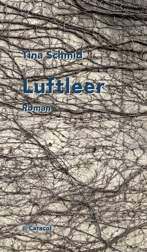Buchcover Luftleer | Tina Schmid | EAN 9783907296301 | ISBN 3-907296-30-3 | ISBN 978-3-907296-30-1
