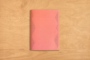 Buchcover Martin Ziegelmüller: Übergänge | Eva Bigler | EAN 9783907350263 | ISBN 3-907350-26-X | ISBN 978-3-907350-26-3