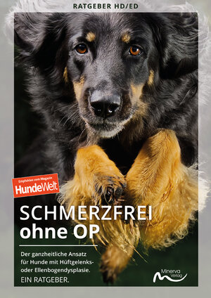Buchcover Schmerzfrei ohne OP  | EAN 9783910503083 | ISBN 3-910503-08-X | ISBN 978-3-910503-08-3