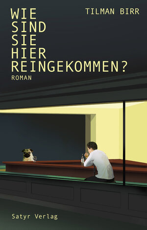 Buchcover Wie sind Sie hier reingekommen? | Tilman Birr | EAN 9783910775008 | ISBN 3-910775-00-4 | ISBN 978-3-910775-00-8