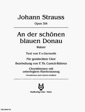 Buchcover An der schönen blauen Donau  | EAN 9783920201269 | ISBN 3-920201-26-4 | ISBN 978-3-920201-26-9